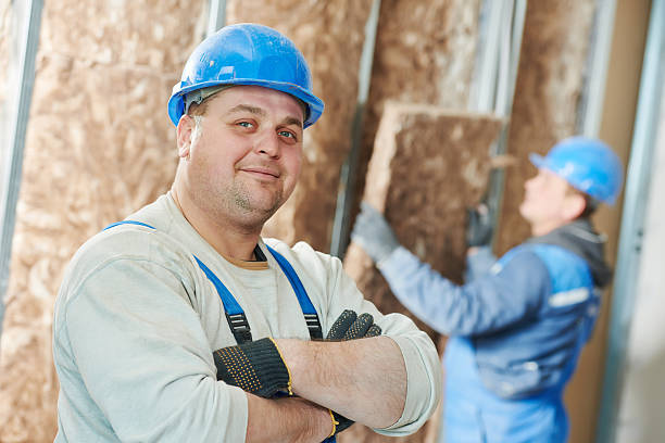 Best Affordable Insulation Services  in Ann Arbor, MI